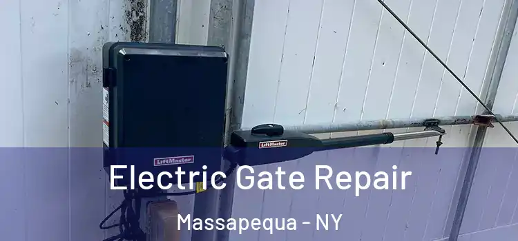 Electric Gate Repair Massapequa - NY