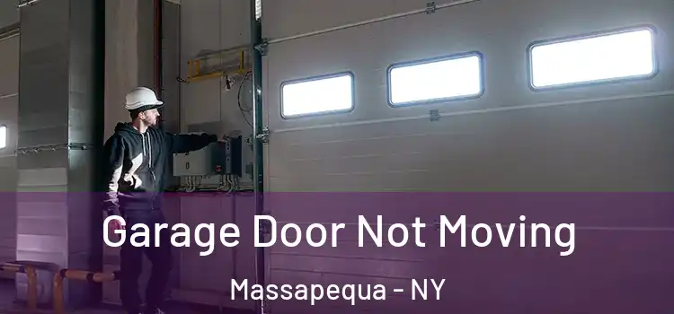  Garage Door Not Moving Massapequa - NY